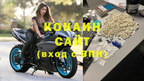 jwh Алзамай