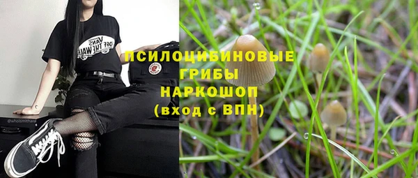 jwh Алзамай