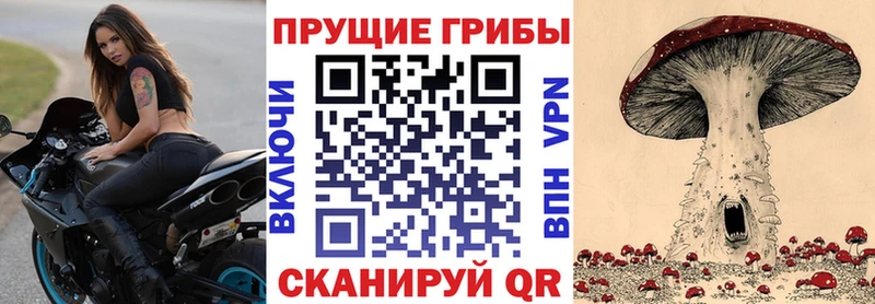 Галлюциногенные грибы Psilocybine cubensis  купить наркотики сайты  Маркс 